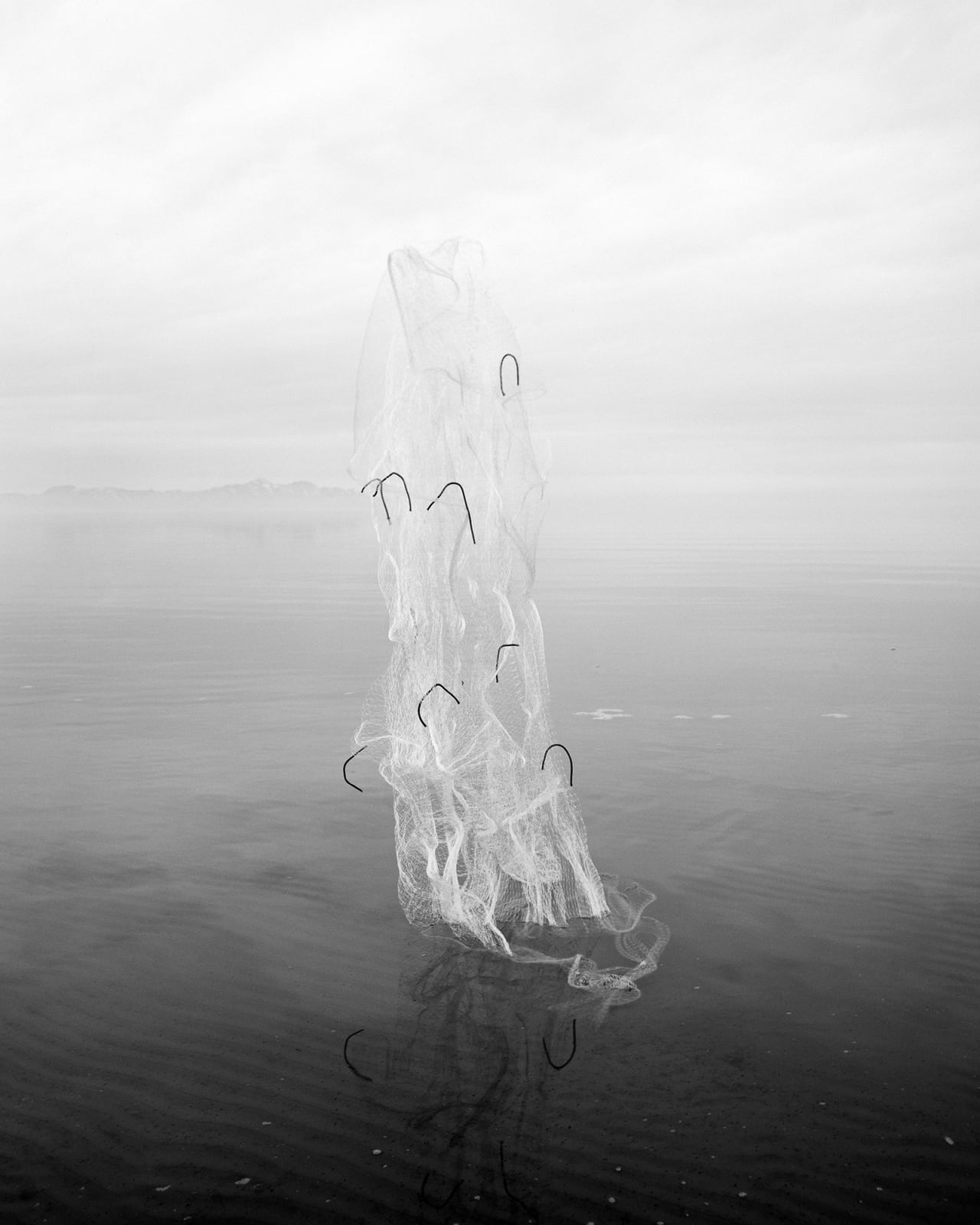 Levi Jackson, Fishy, 2019