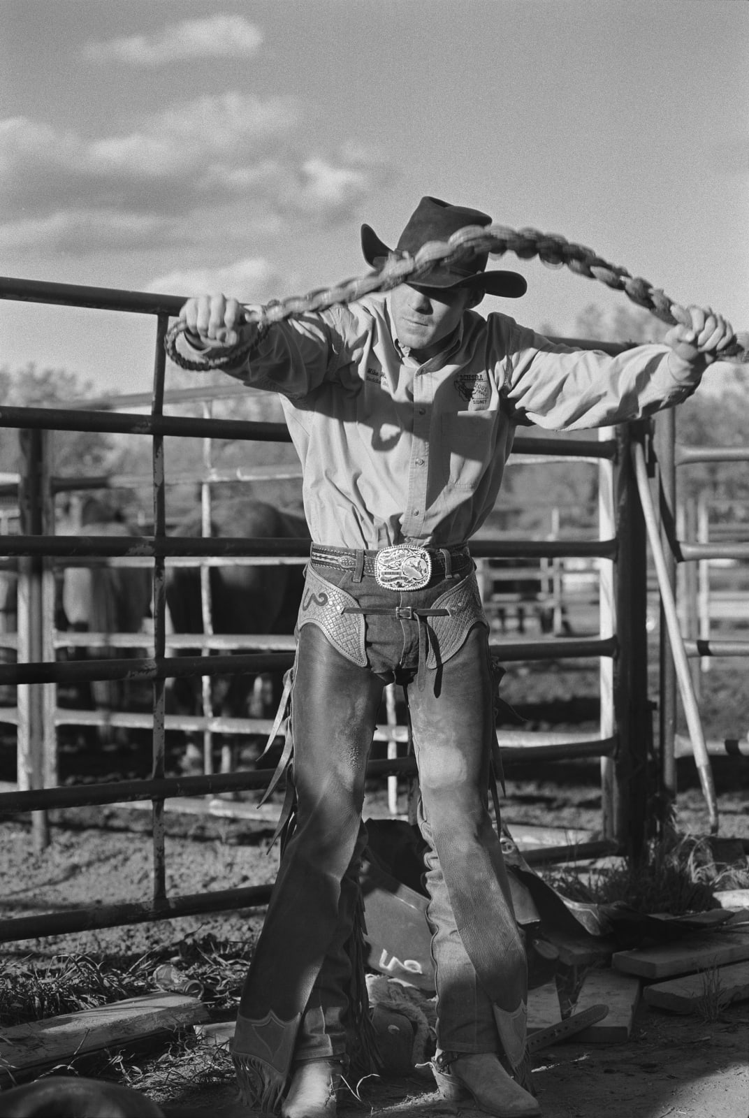 Michael Coles, Untitled Bucking Horse Series no.5, 2007