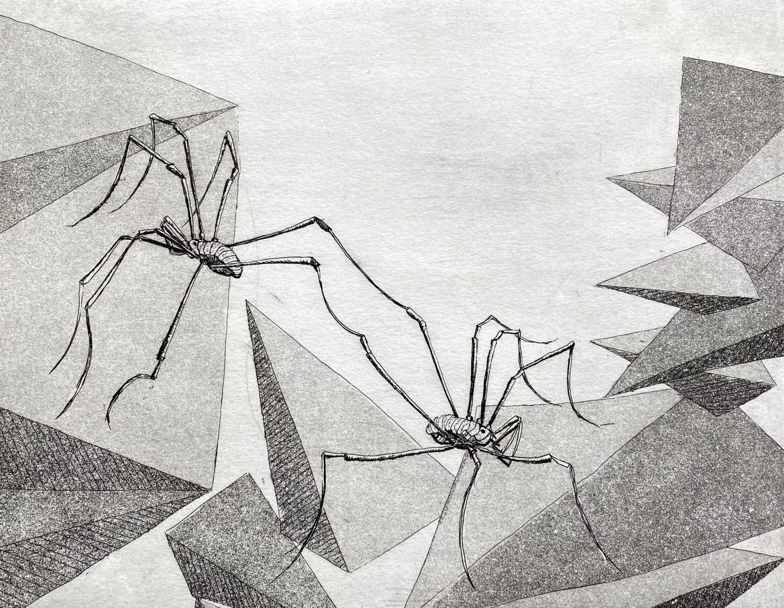 Peter Hay, They Make it Look Easy, 2014