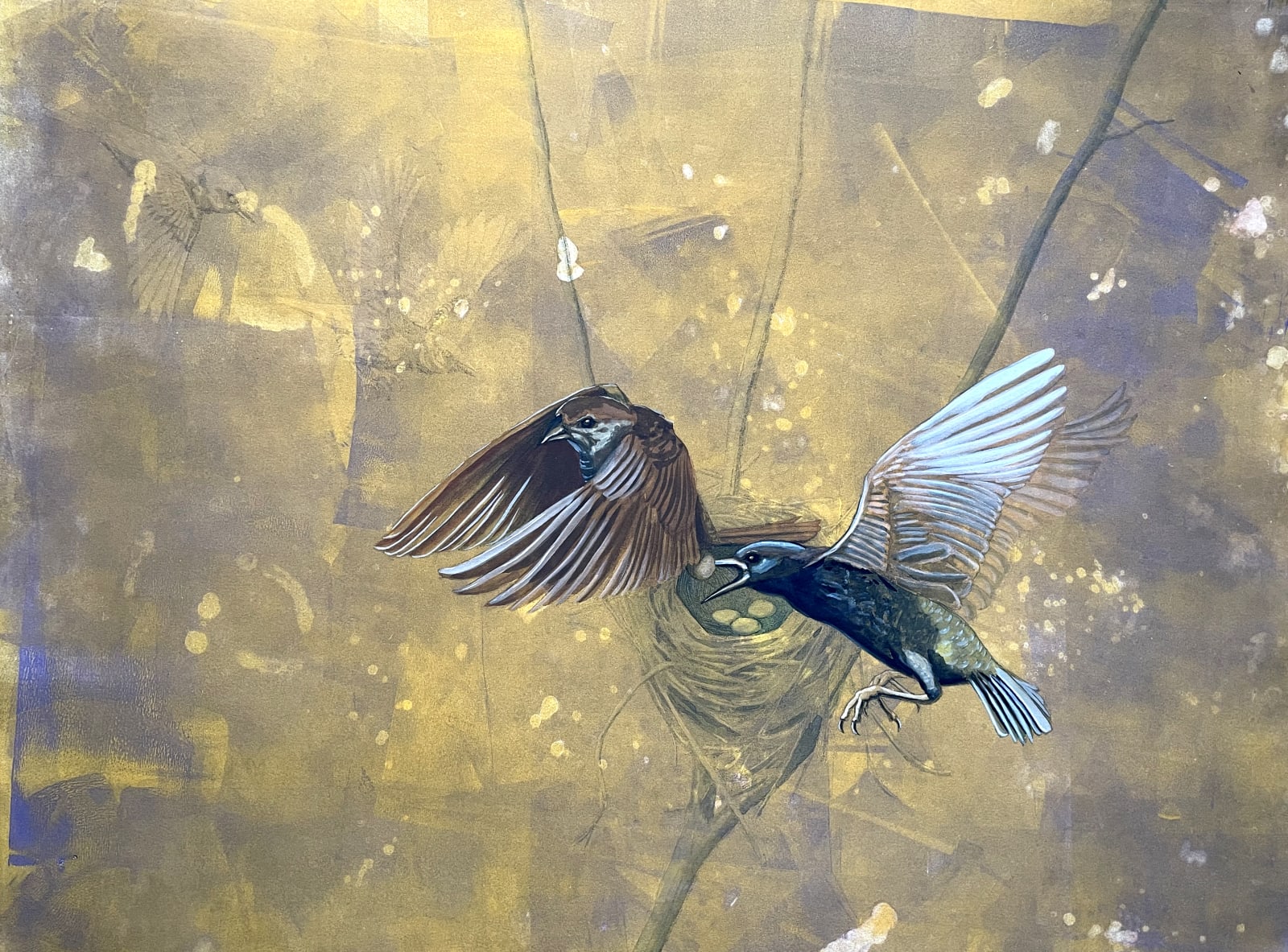 Peter Hay, Rhapsody, 2014