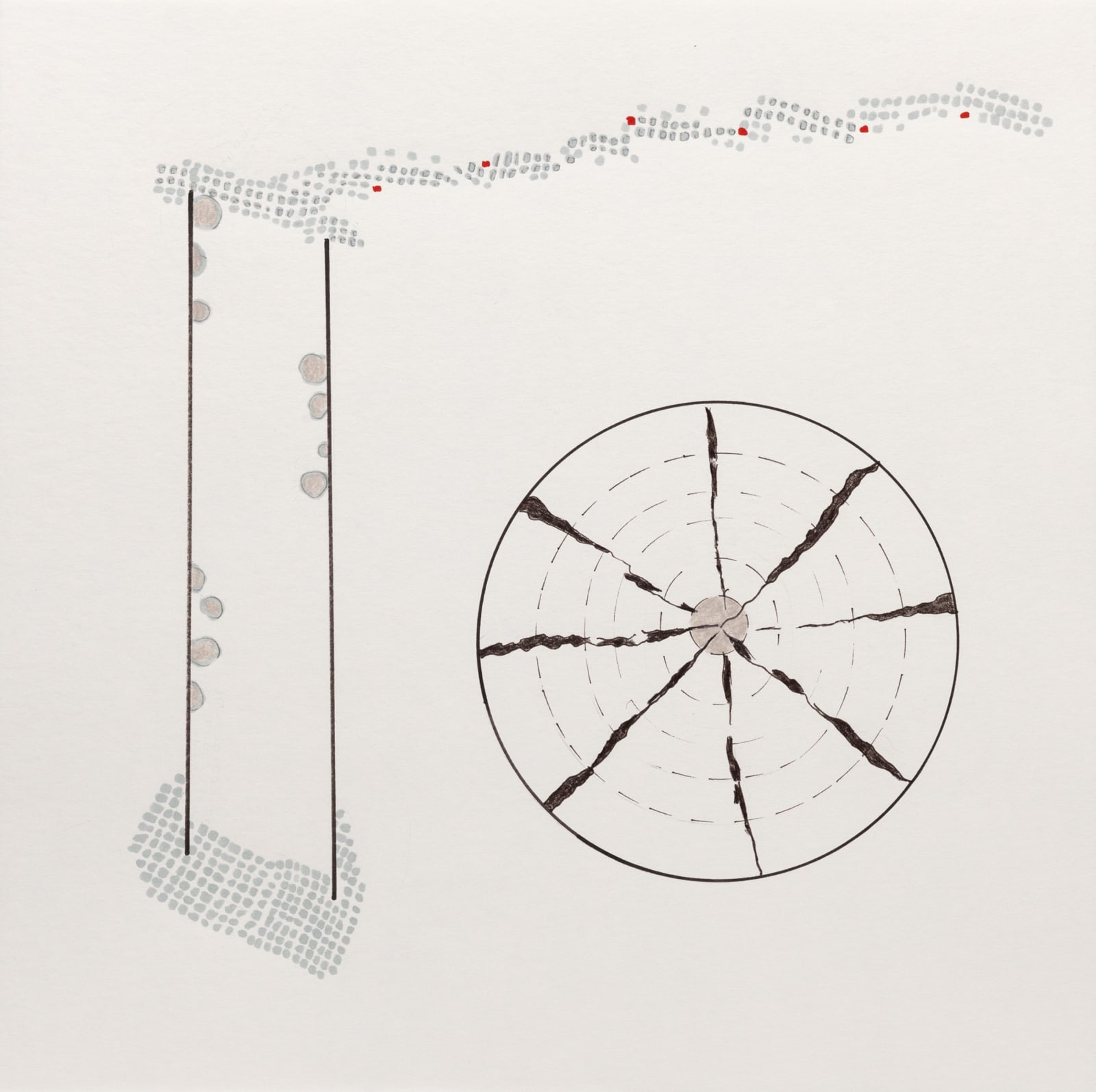 moholinushk, first snow in Sihlwald, 2019