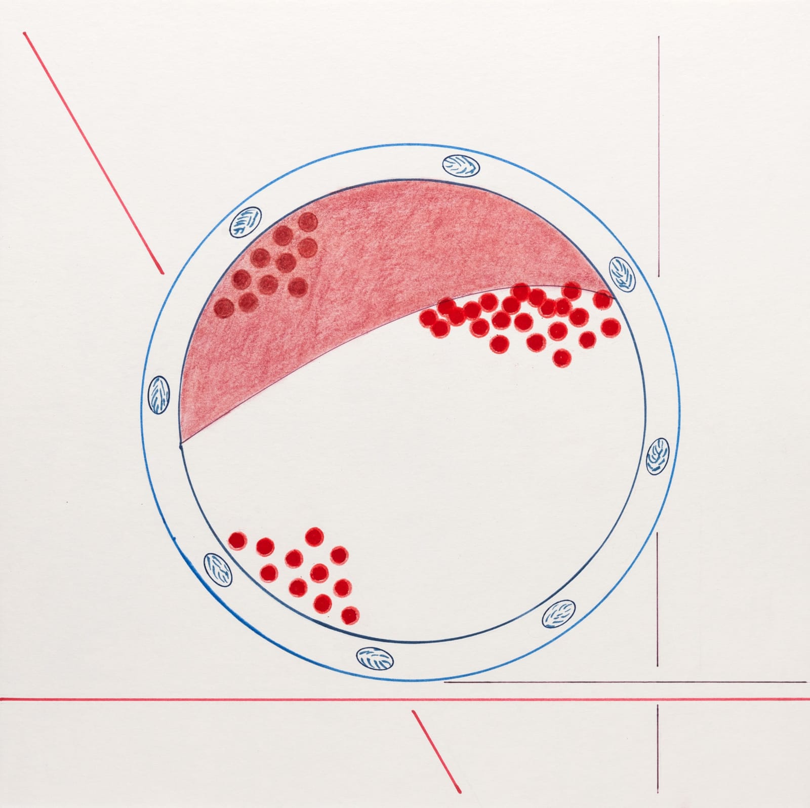 moholinushk, Porcelain bowl with red berries, 2018