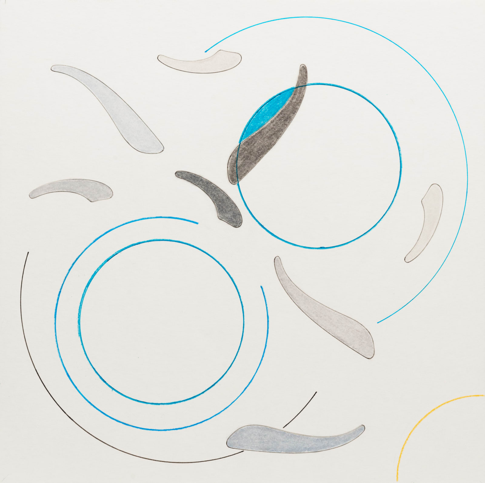 moholinushk, the coast of Oman, 2018