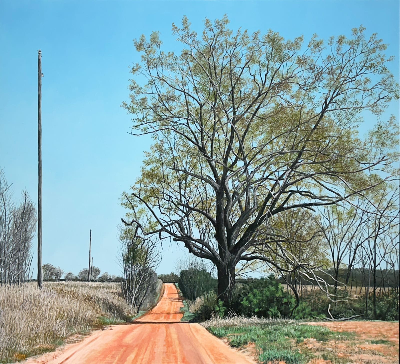 John L. Cleaveland, Jr., Farther Fields