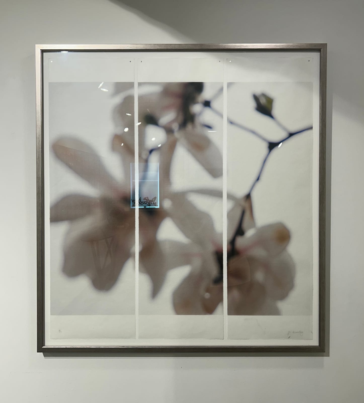 Jeri Eisenberg, Star Magnolia, No. 6