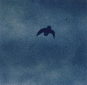 Casey Roberts, Mid air