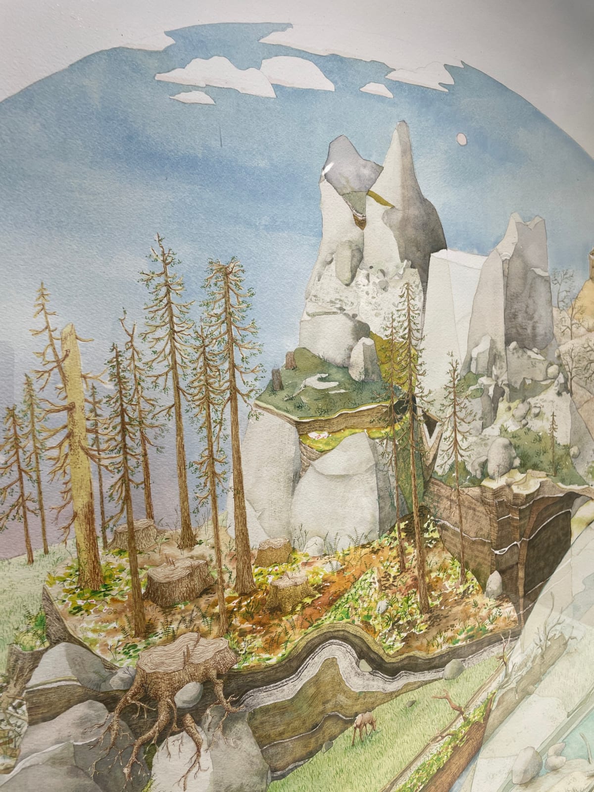 Bryce Lafferty, West (The Tree of Life)