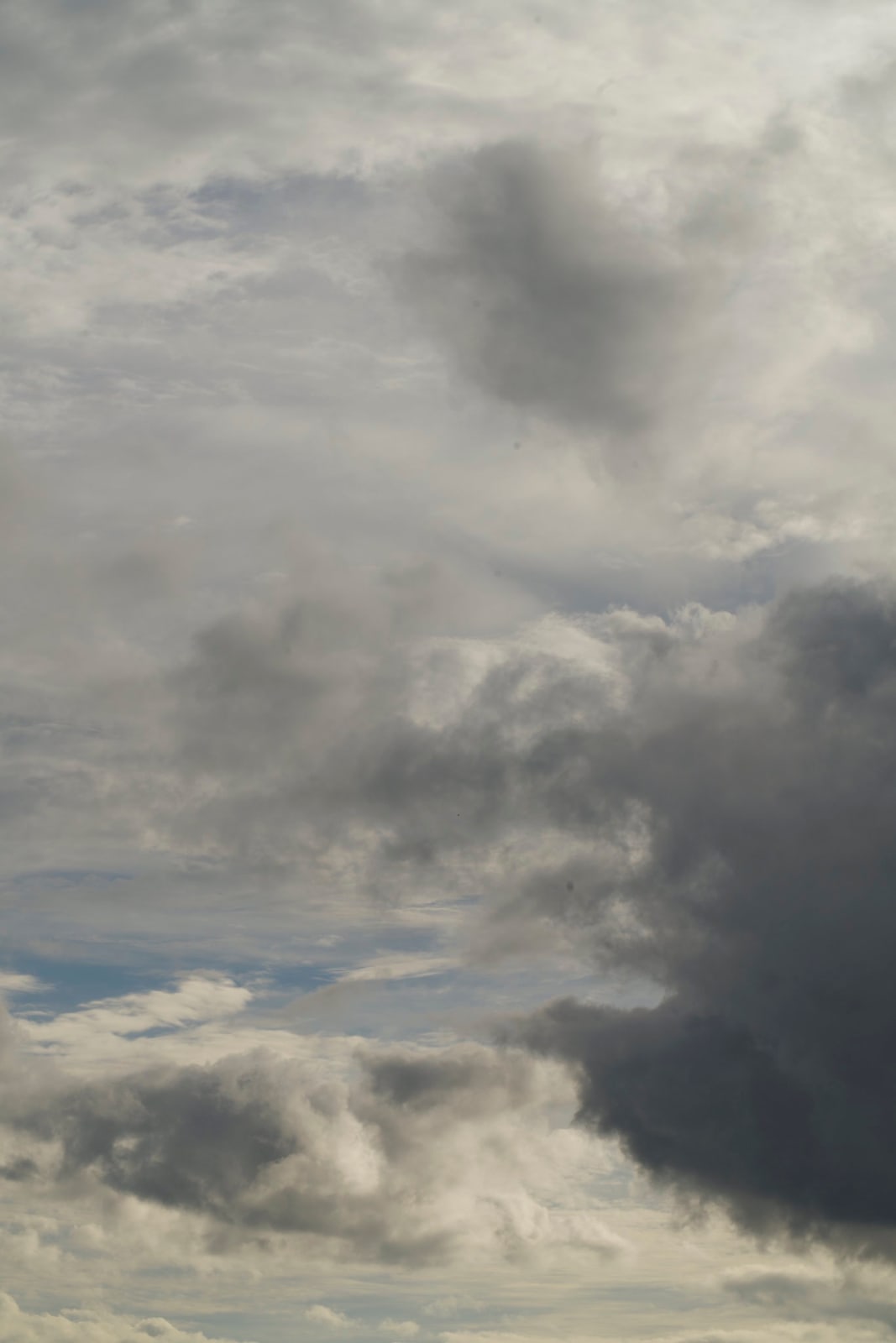 Sandy Rothberg, Untitled 7