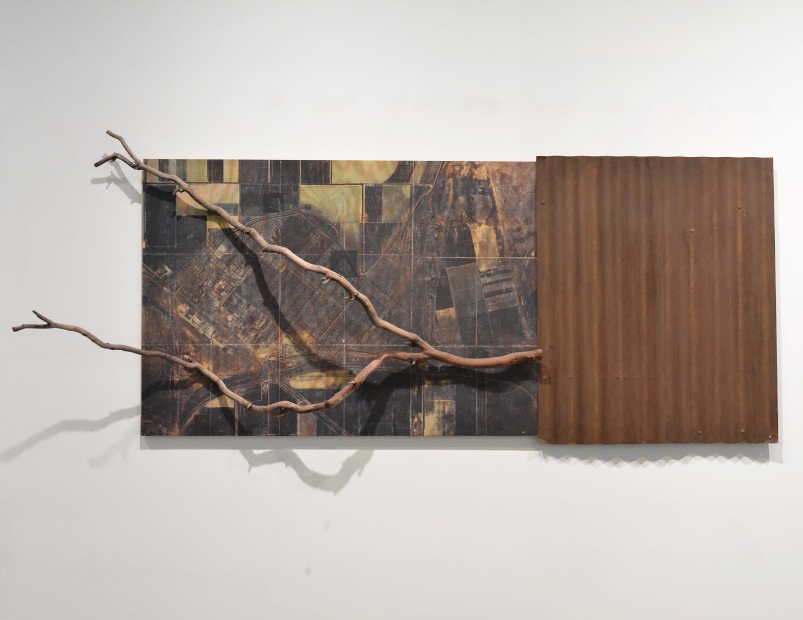 Wendy Maruyama, Tule Lake