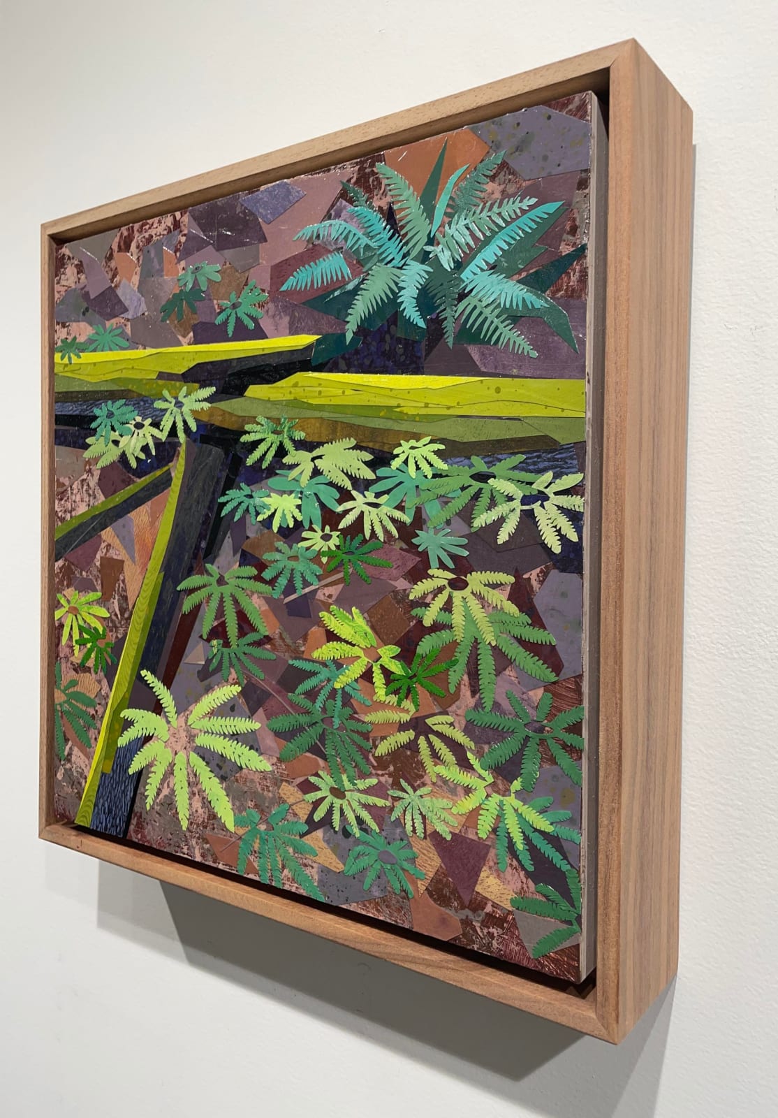 Meg Lagodzki, Maidenhair and Christmas Ferns
