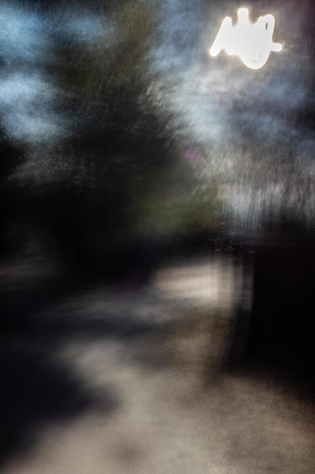 Sandy Rothberg, Untitled 39