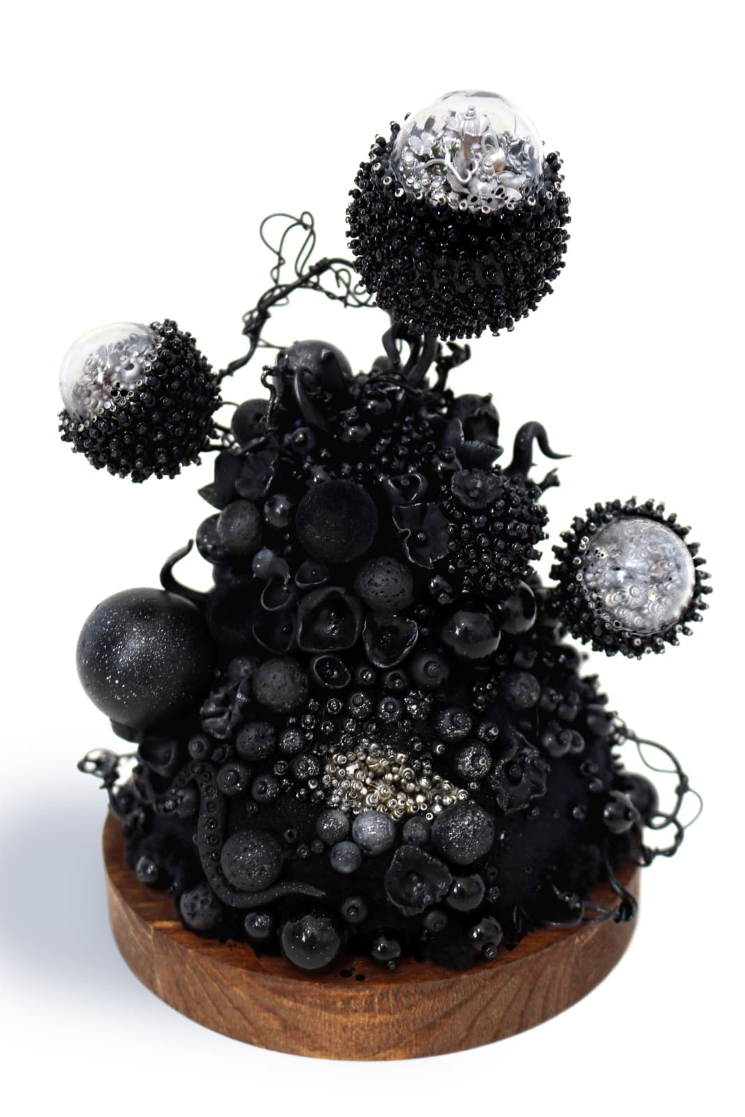 Amy Gross, Horta Astorum