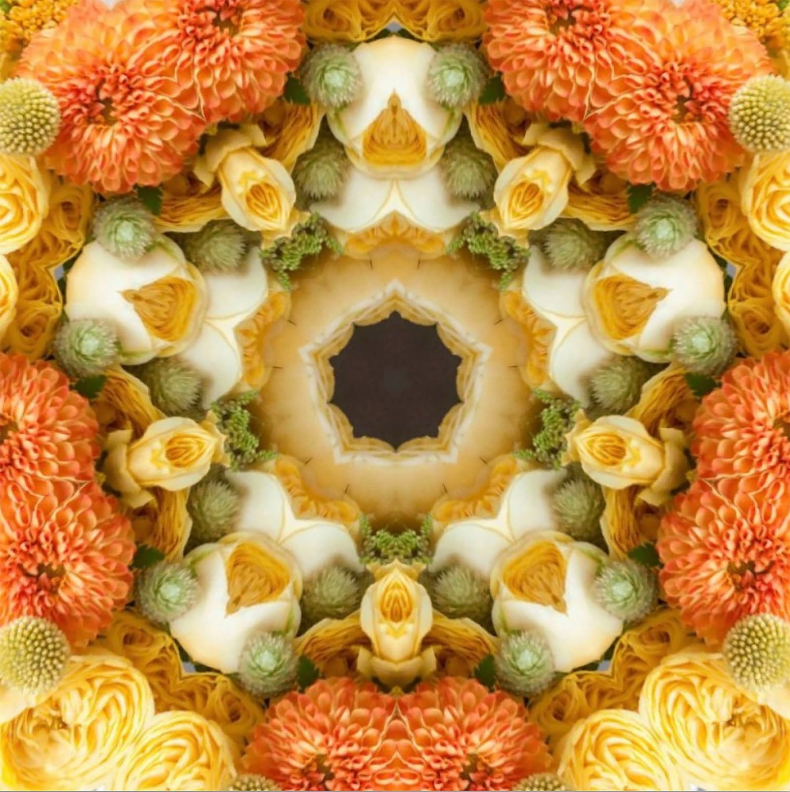 Tim Tate, Lenticular XV