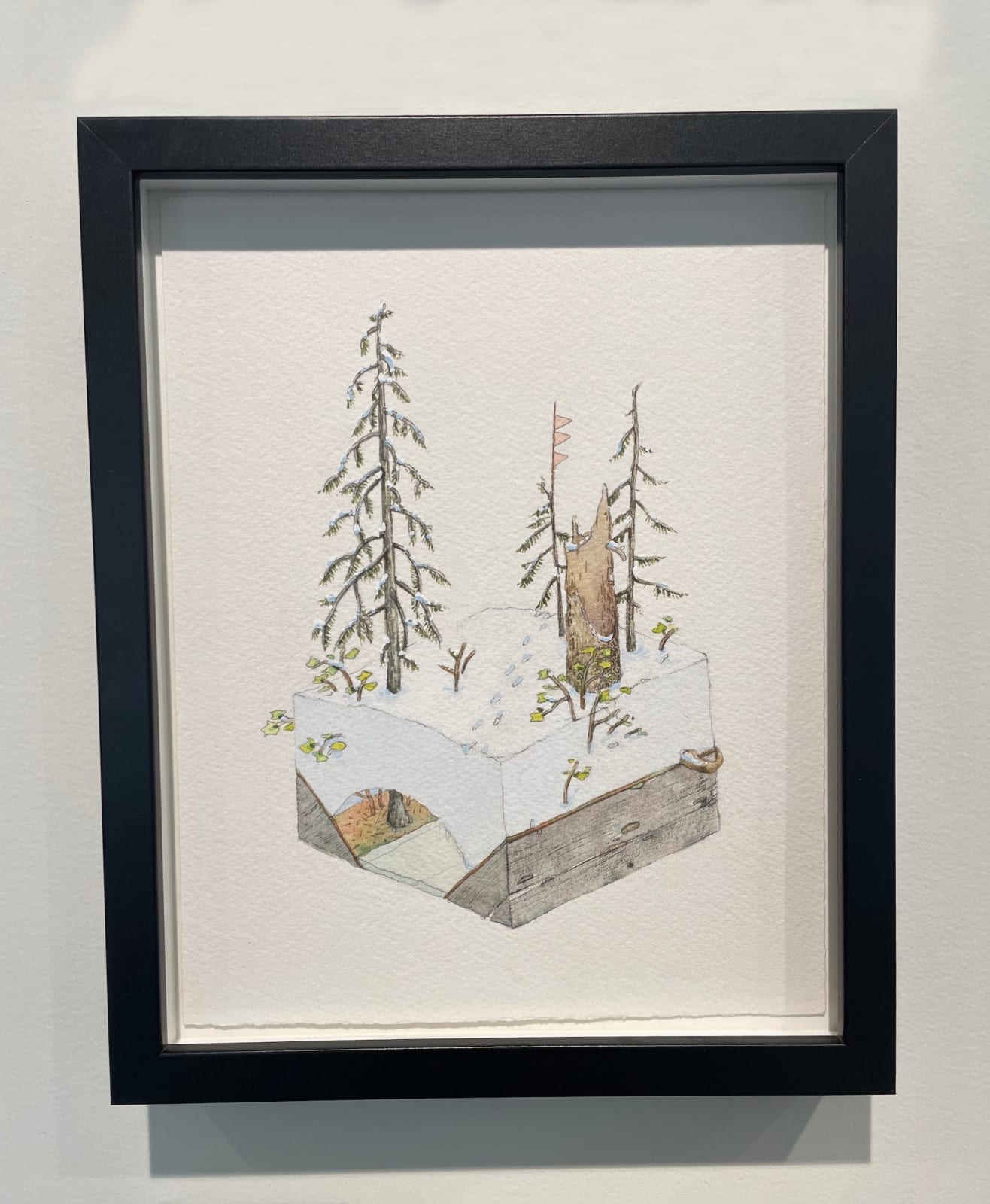 Bryce Lafferty, Vernalis (Hunting Trail)