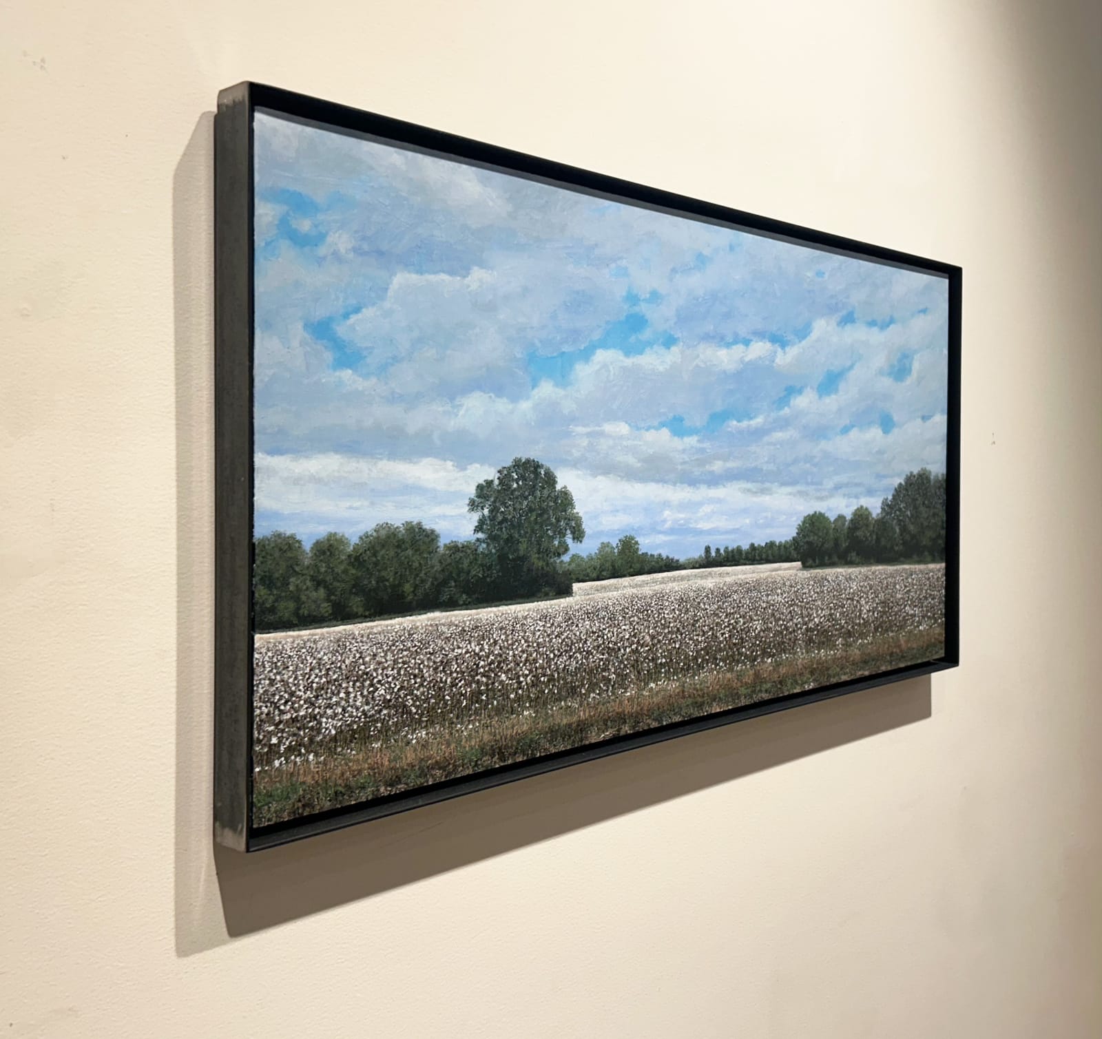 John L. Cleaveland, Jr., From Can’t See to Can’t See