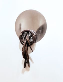 Rachel David, Family Tree Self Reflection Mirror