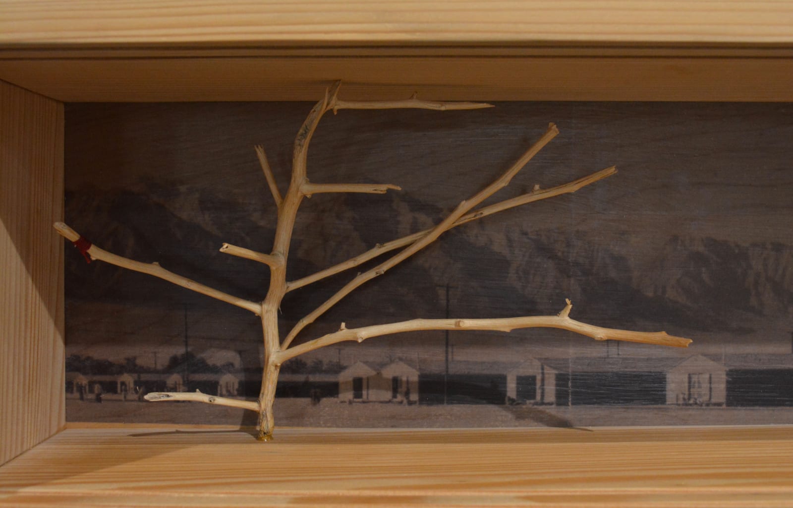 Wendy Maruyama, Land of the Free