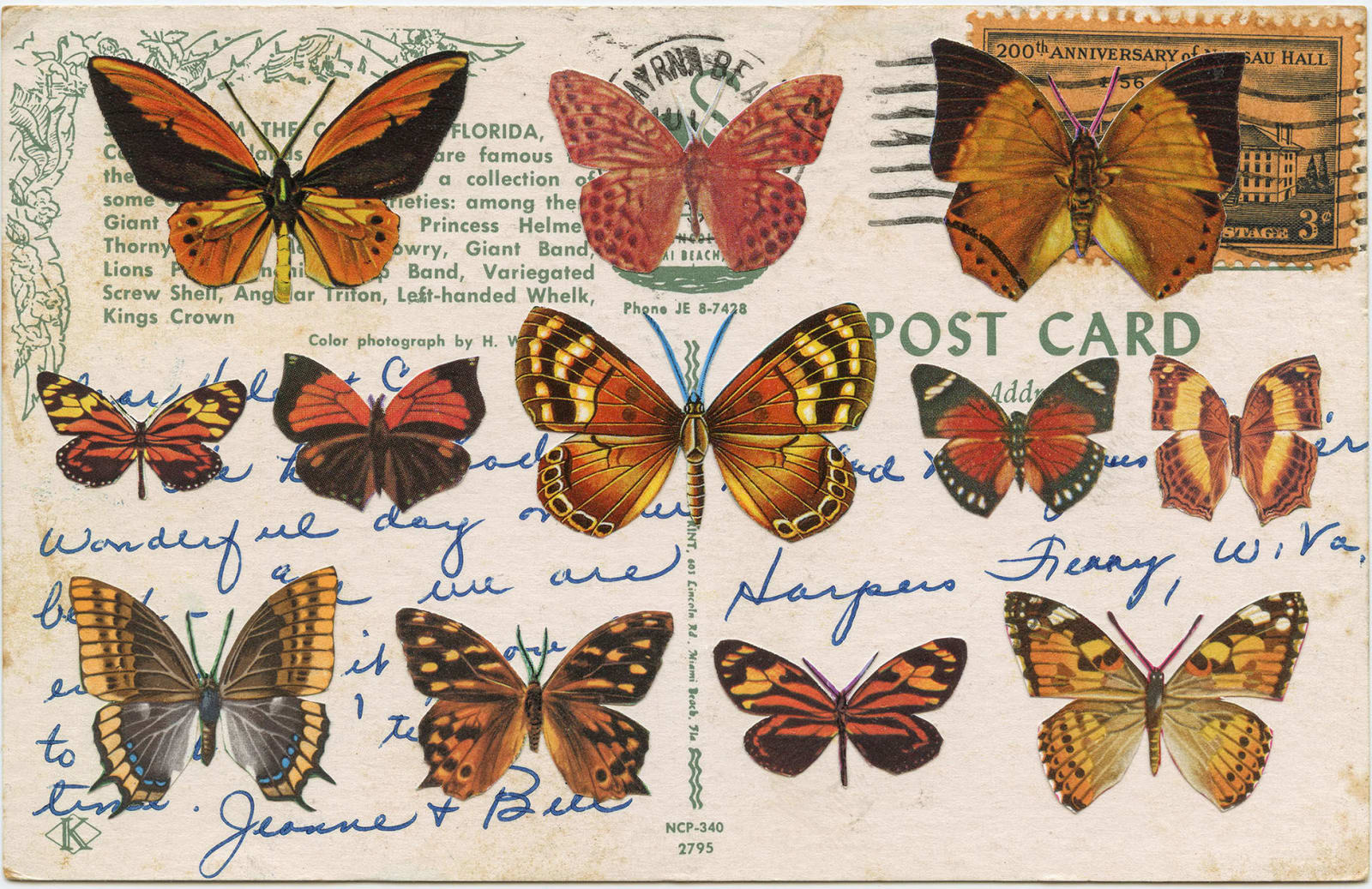 Greg Sand, Migration I