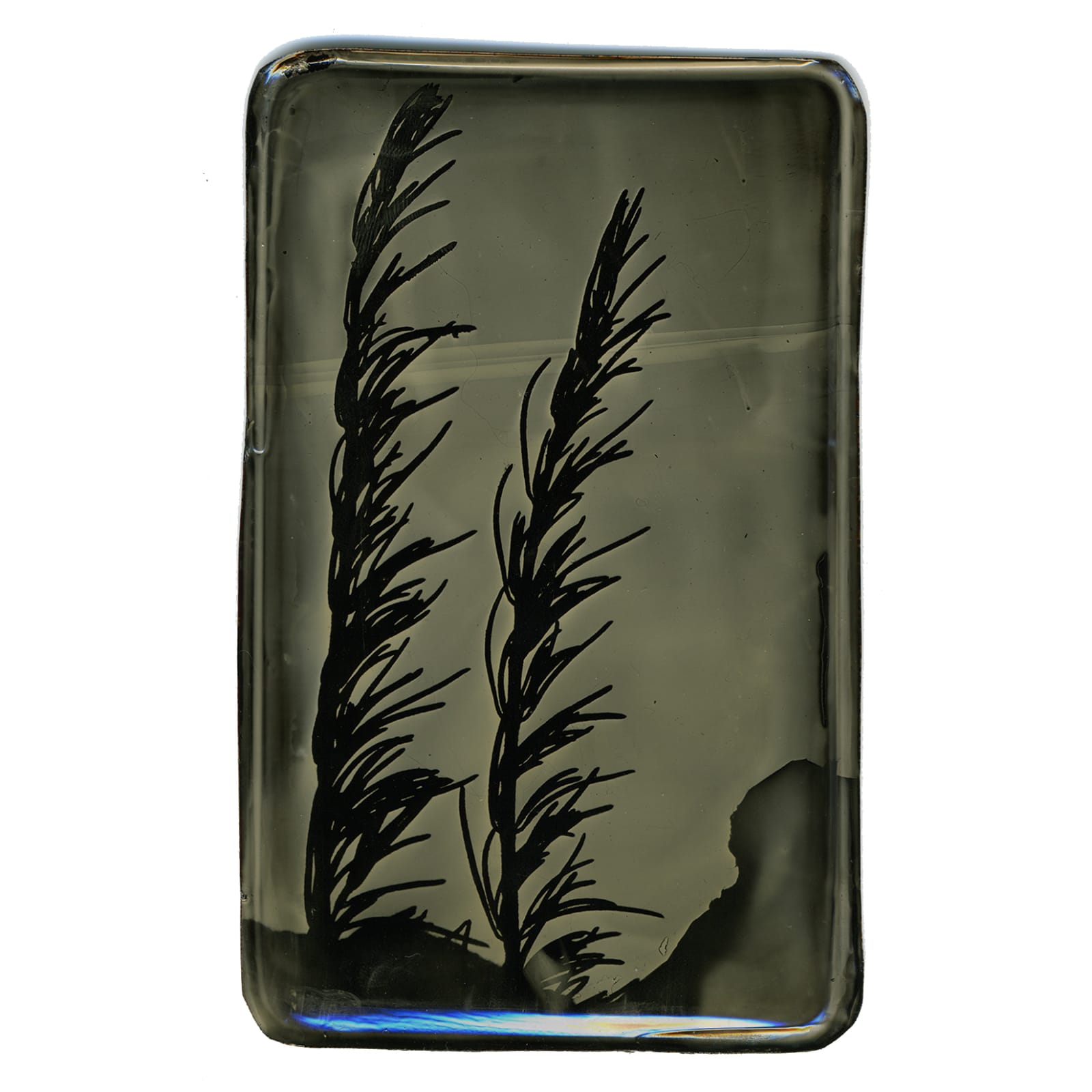 Heather F. Wetzel, Salvage: Constructed Landscape No.45