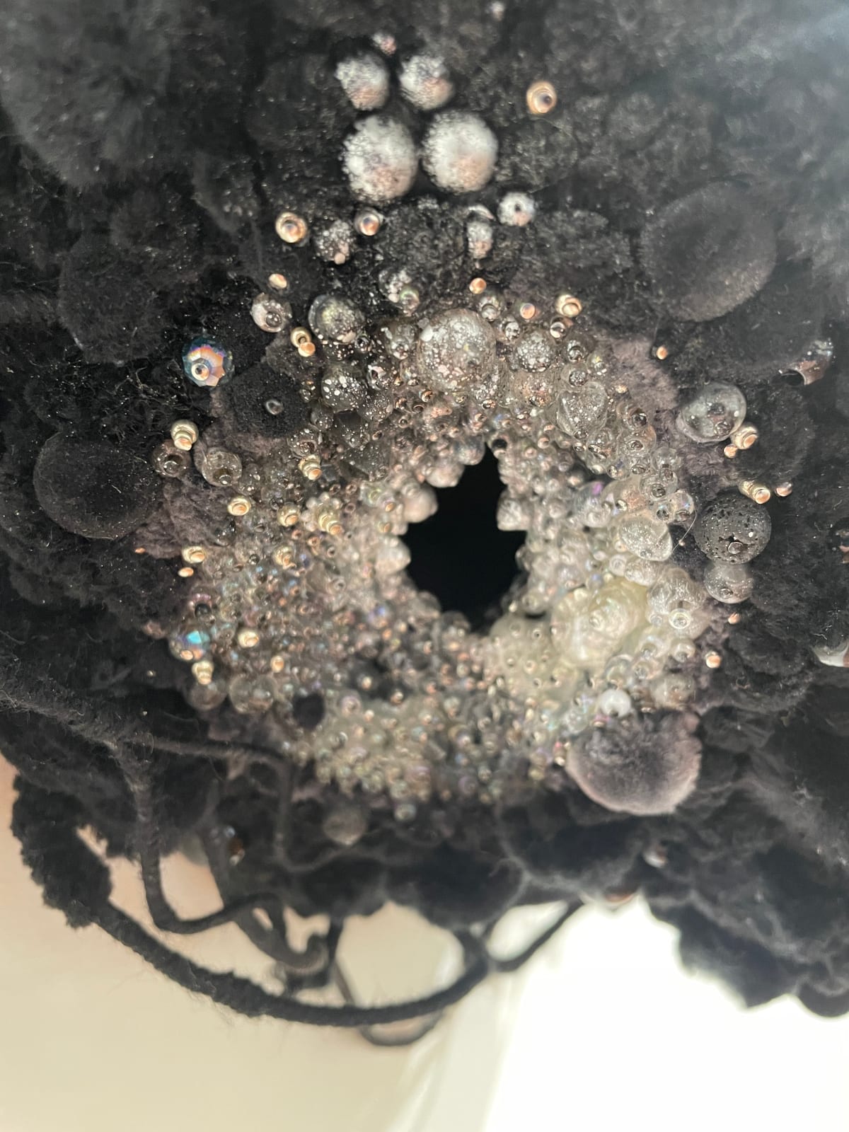 Amy Gross, Emerald Towhee's Biotope