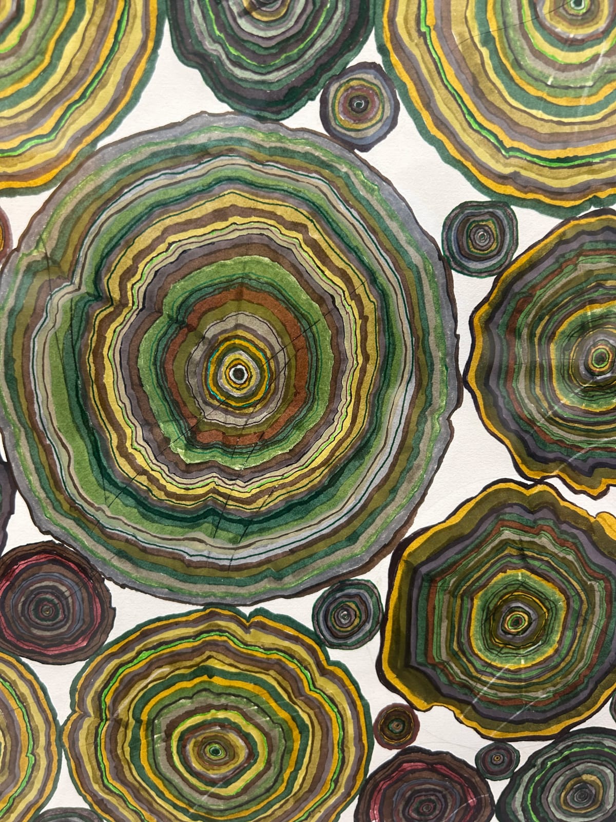 Steven L. Anderson, Forest #2