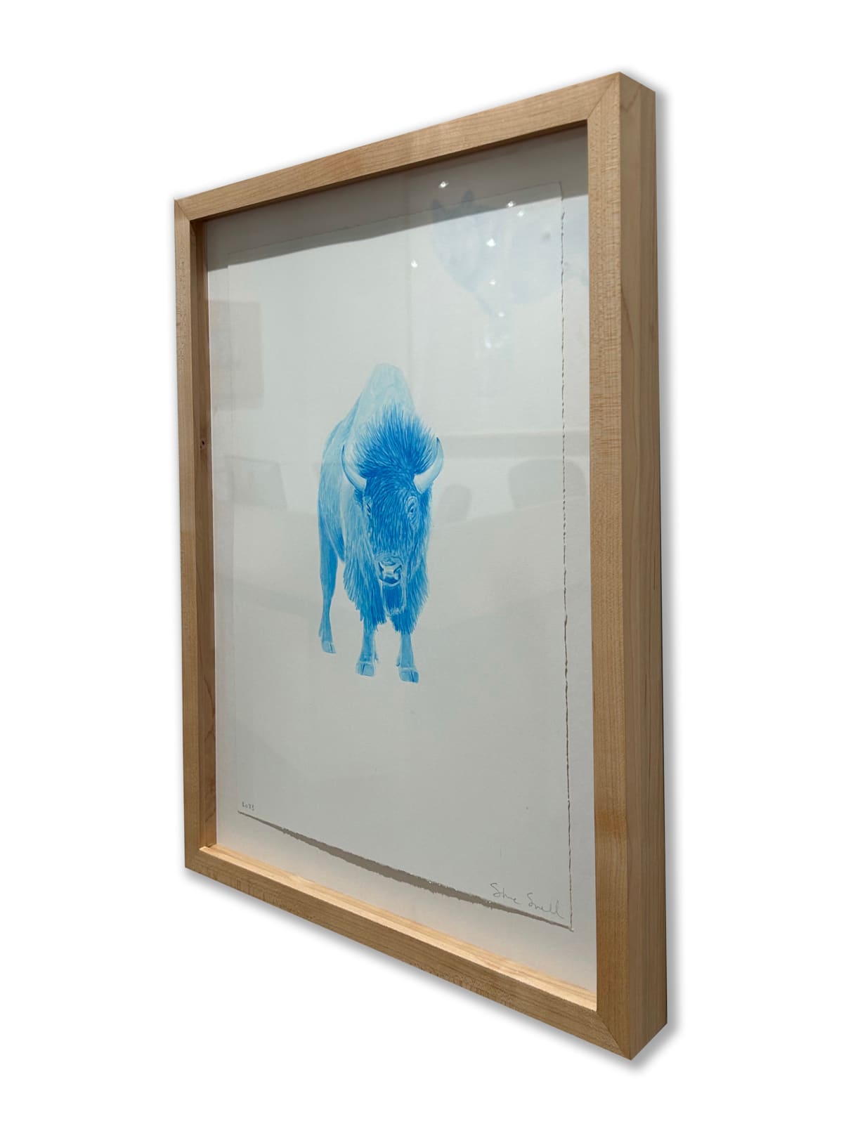 Steve Snell, Study - Blue Buffalo