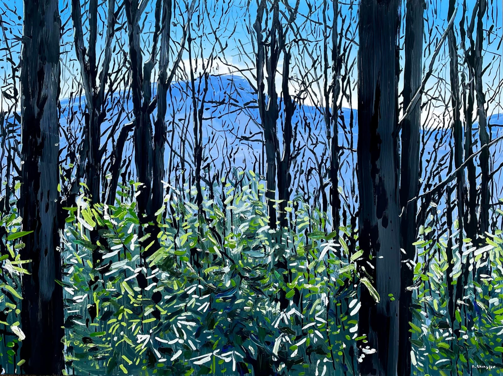 David Shingler, Forest. Boone, North Carolina, 2022