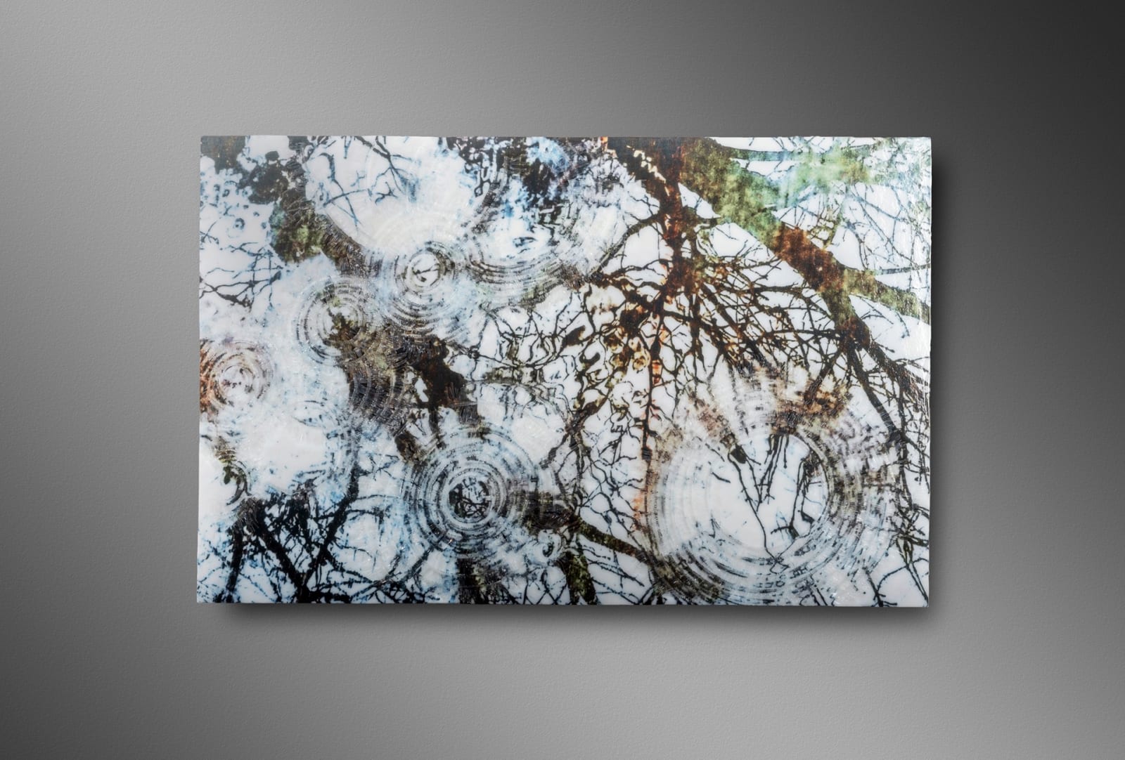 Terri Grant, Falling Into The Sky II
