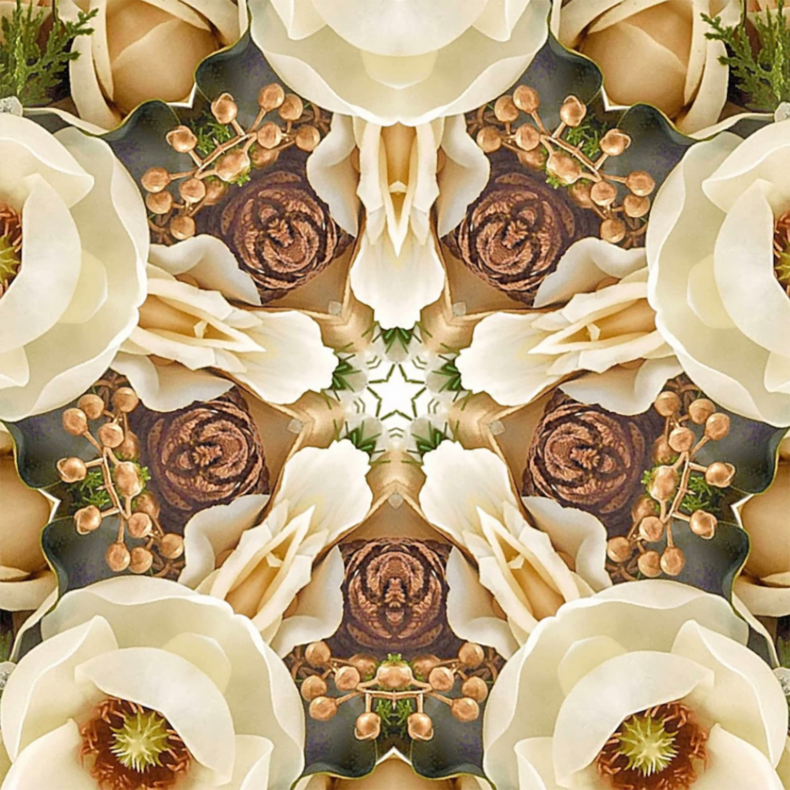 Tim Tate, Lenticular XVII