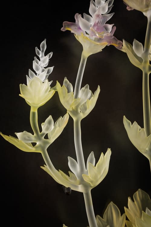 Janis Miltenberger, Distilled Sight