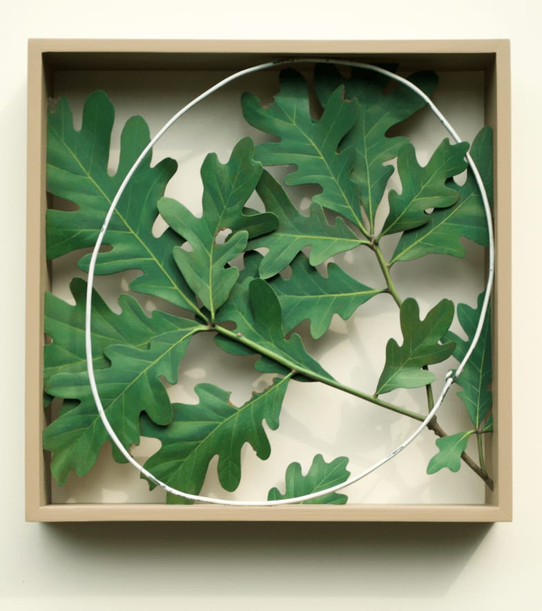 Ron Isaacs, Oakbox