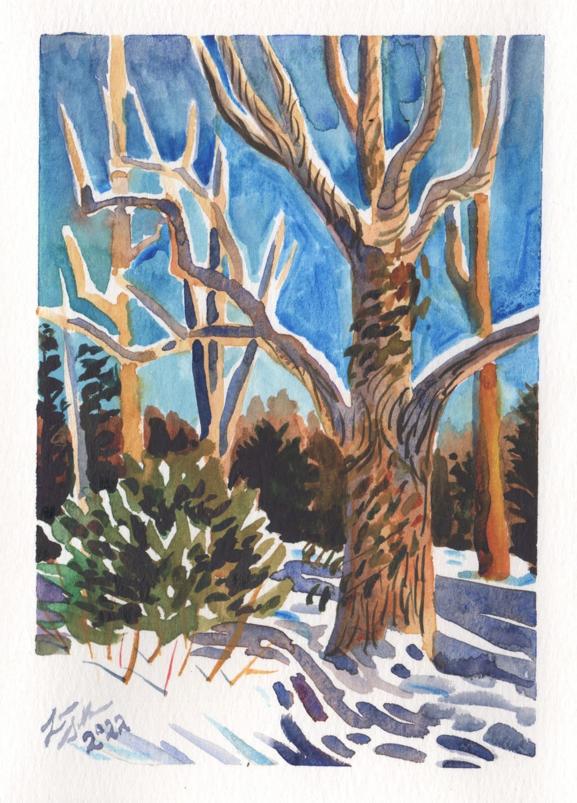 Laura Sellers, East Asheville Snow I