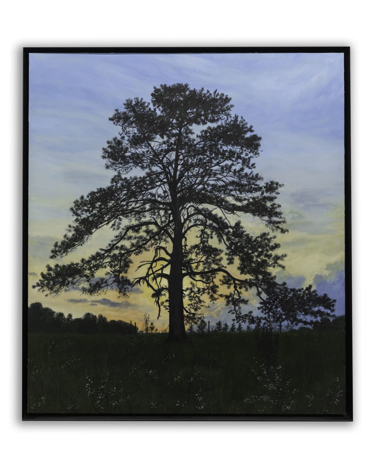 John L. Cleaveland, Jr., Sunset on a Blackberry Winter, Farmington GA