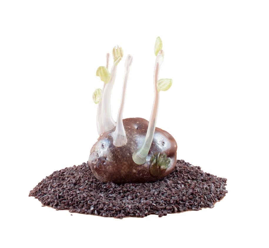 Deborah Czeresko, Forgotten Potato 17