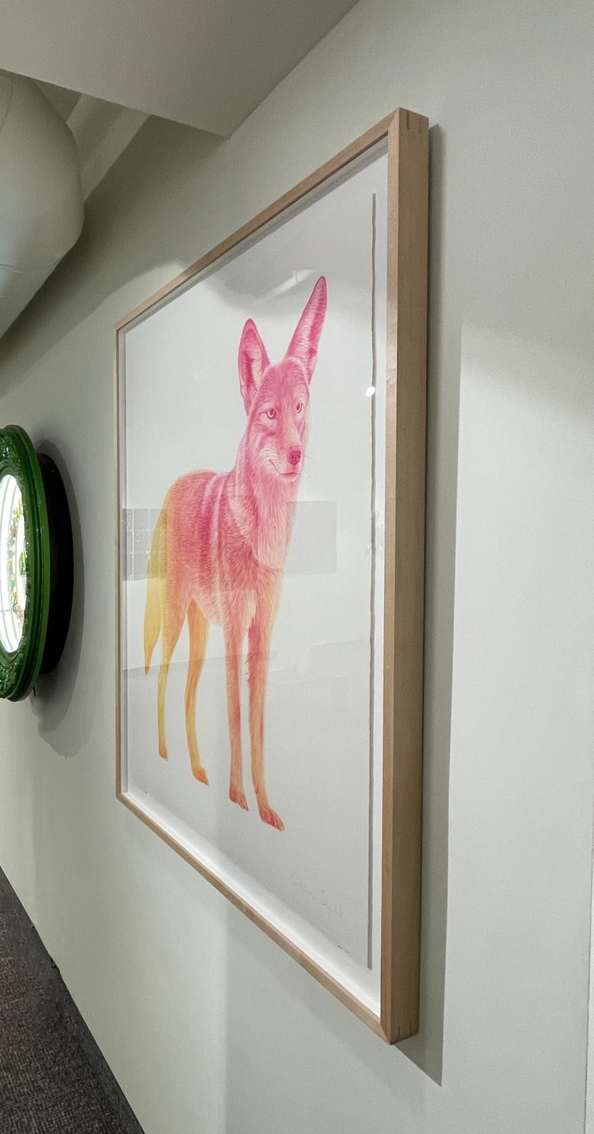 Steve Snell, Analogous Coyote