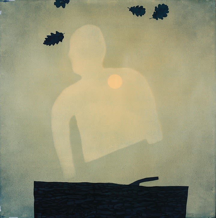 Casey Roberts, Sunlight shines through and reveals a ghost in the side yard