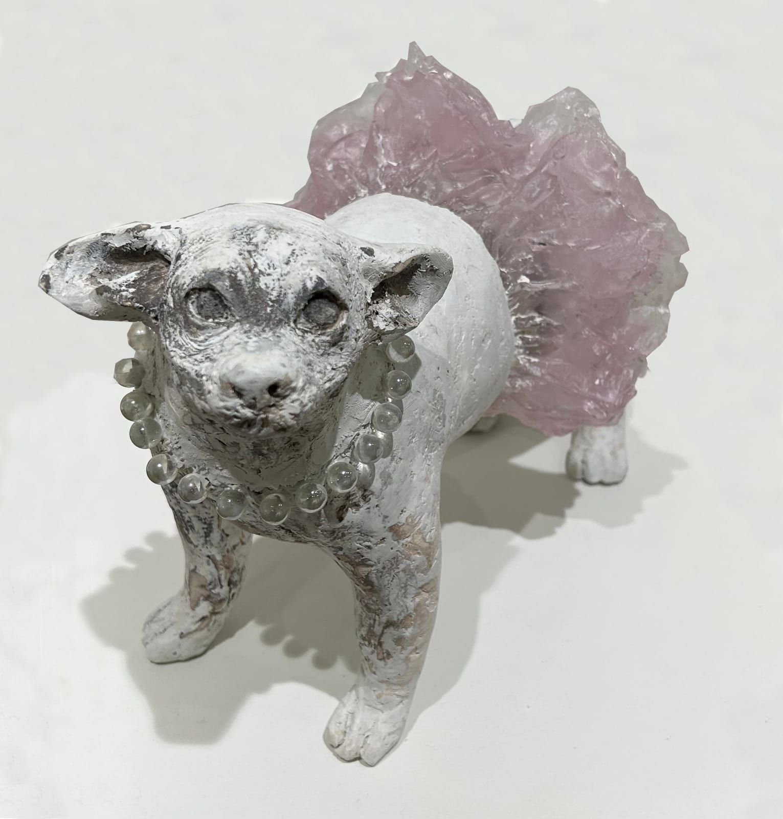 Christina Bothwell, Chihuahua