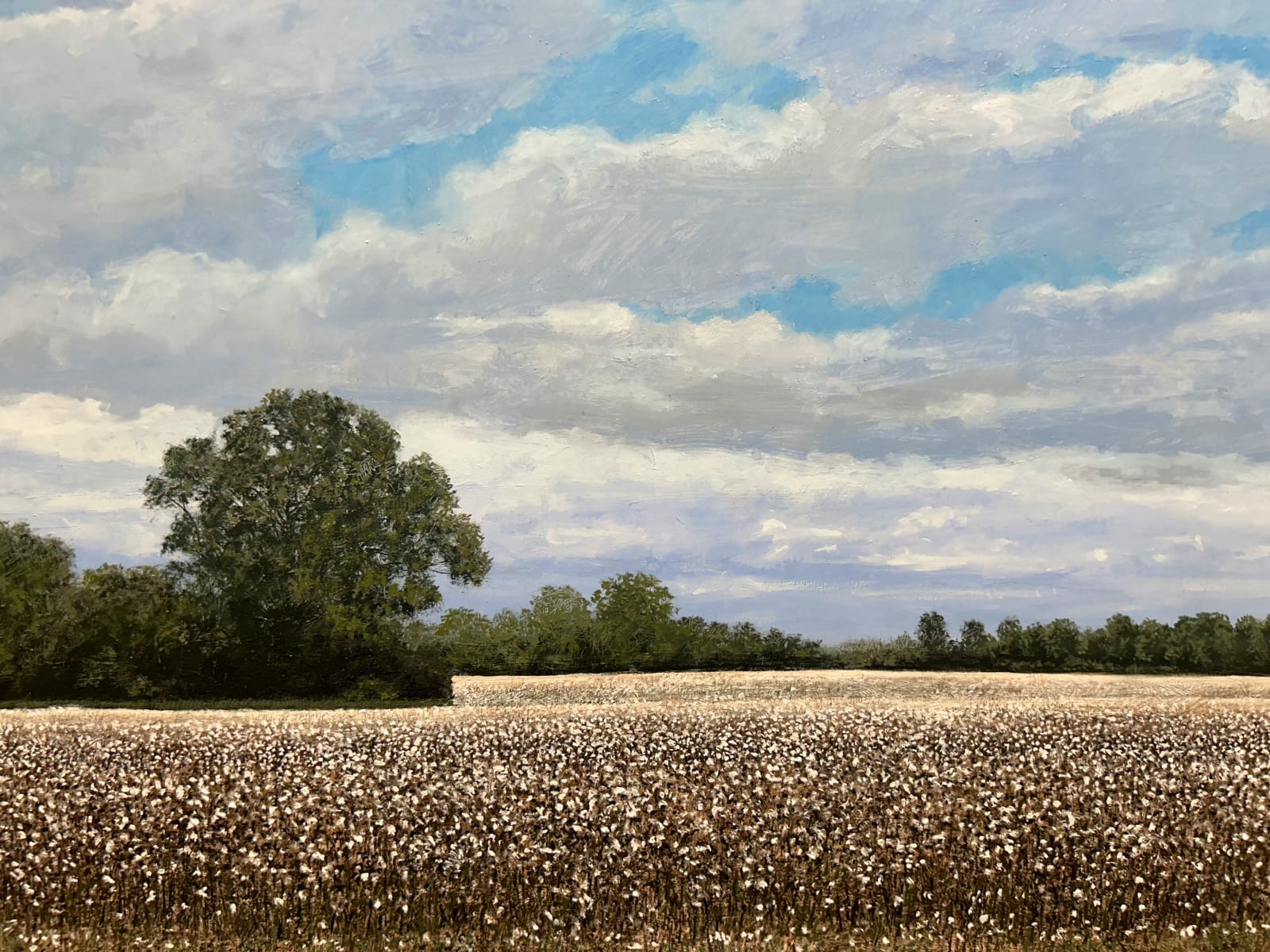 John L. Cleaveland, Jr., From Can’t See to Can’t See