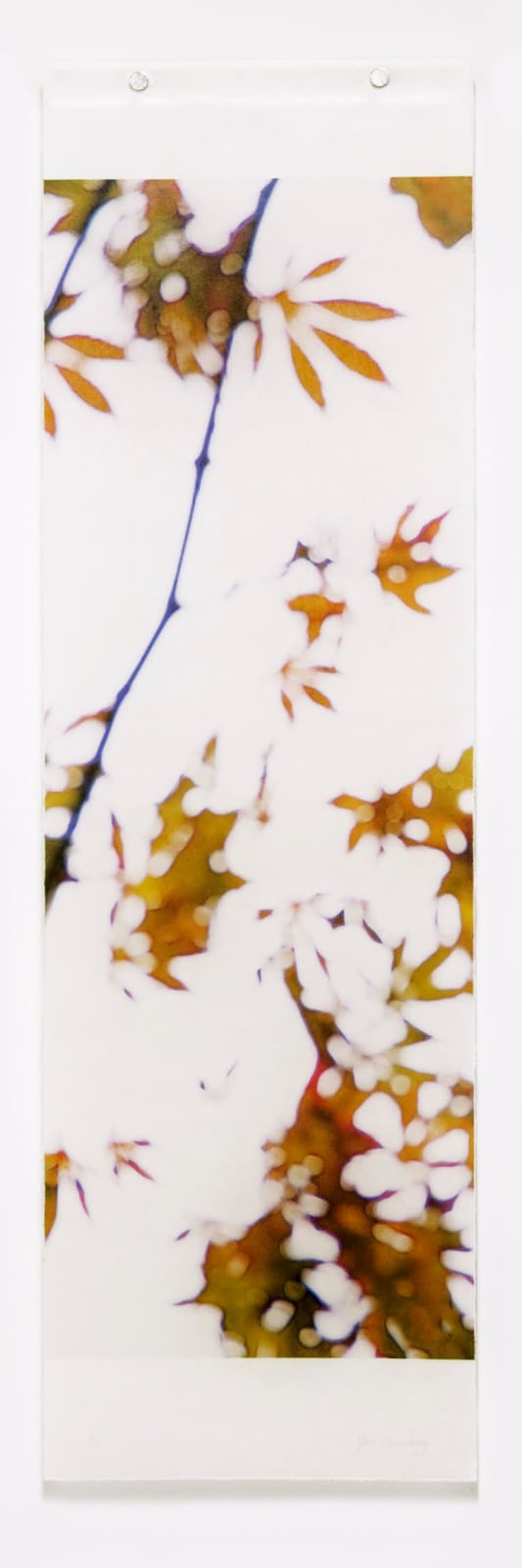 Jeri Eisenberg, Momiji, No. 16