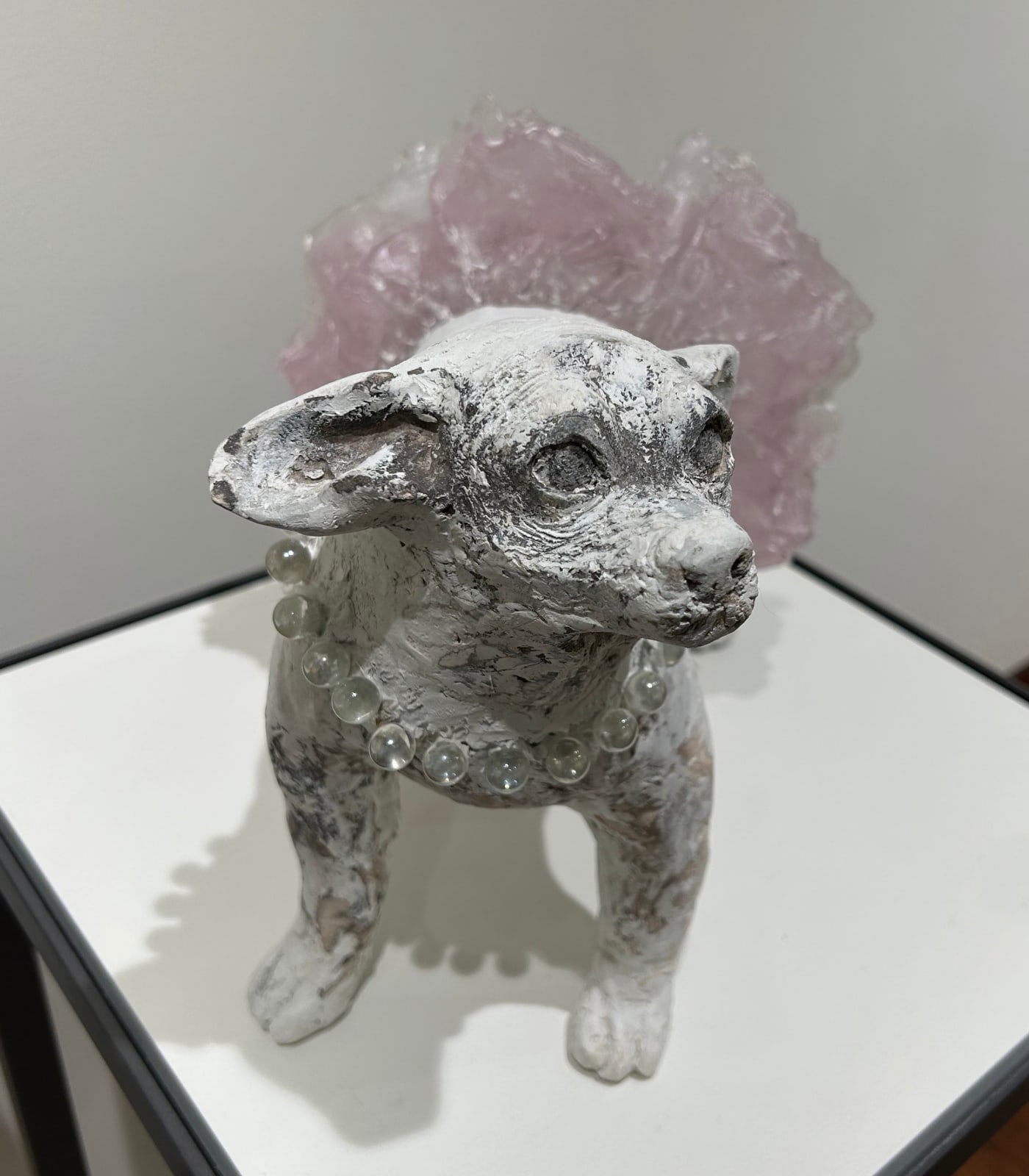 Christina Bothwell, Chihuahua