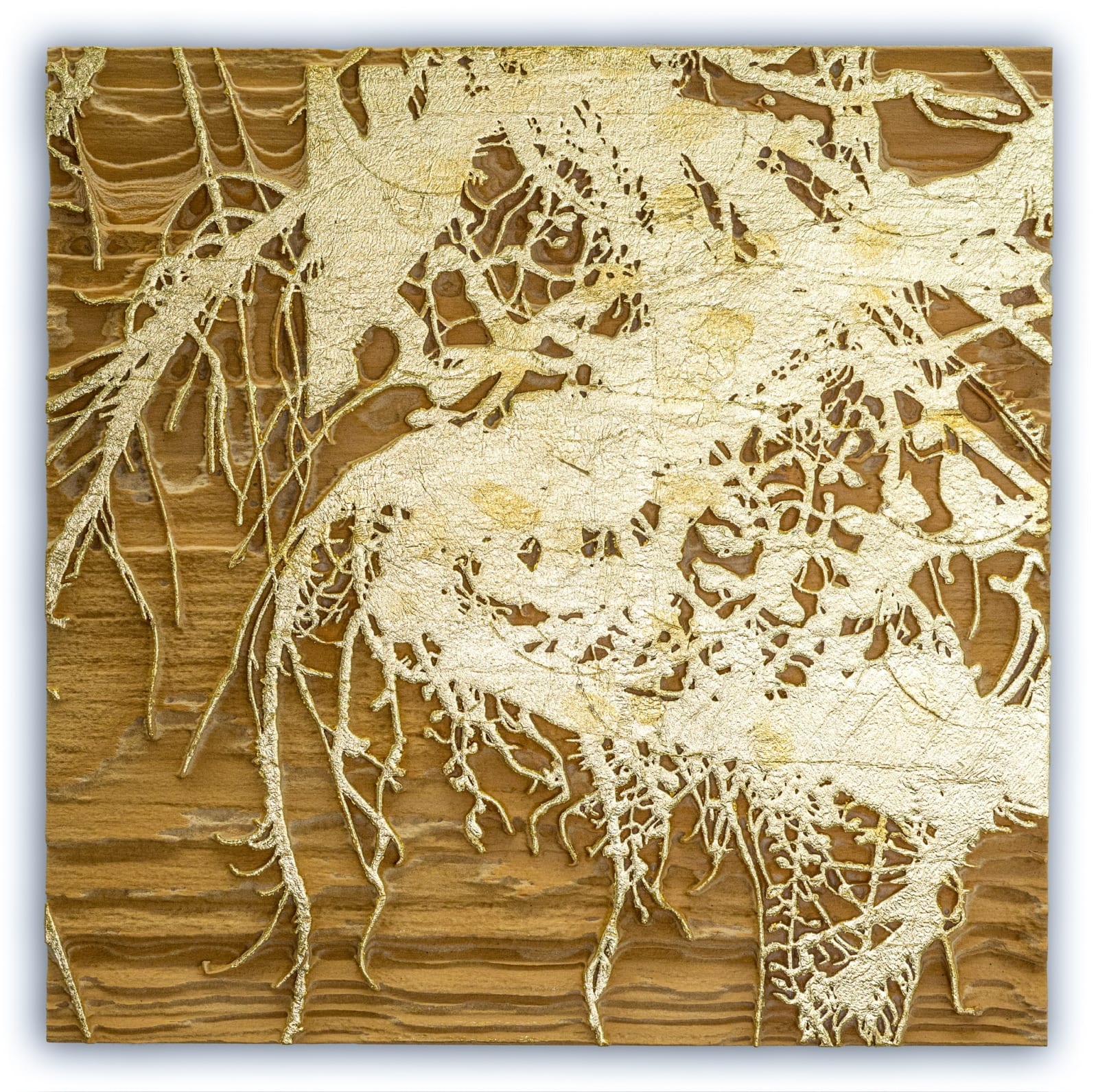 Jill Hotchkiss, Crop Gardens 13