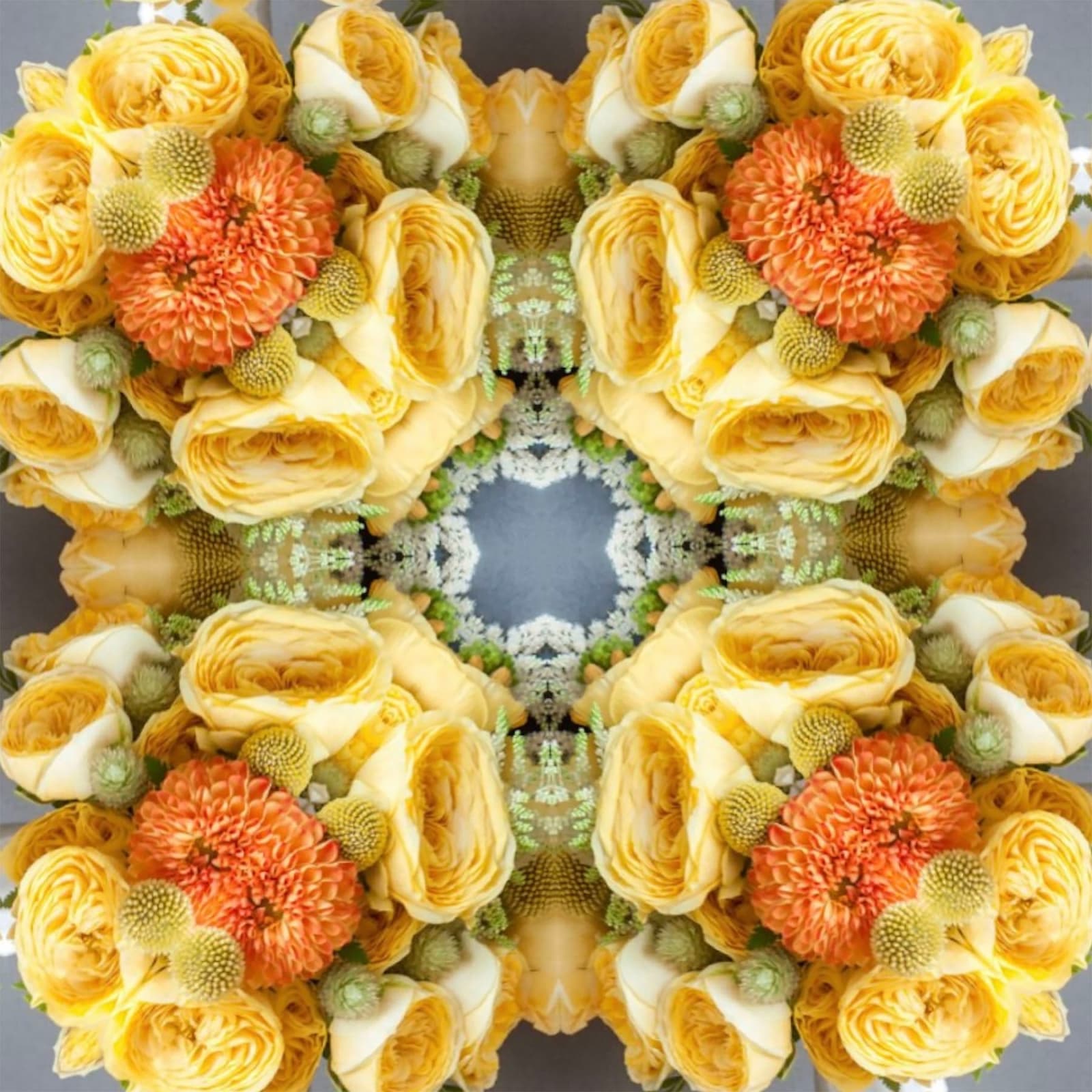 Tim Tate, Lenticular XV