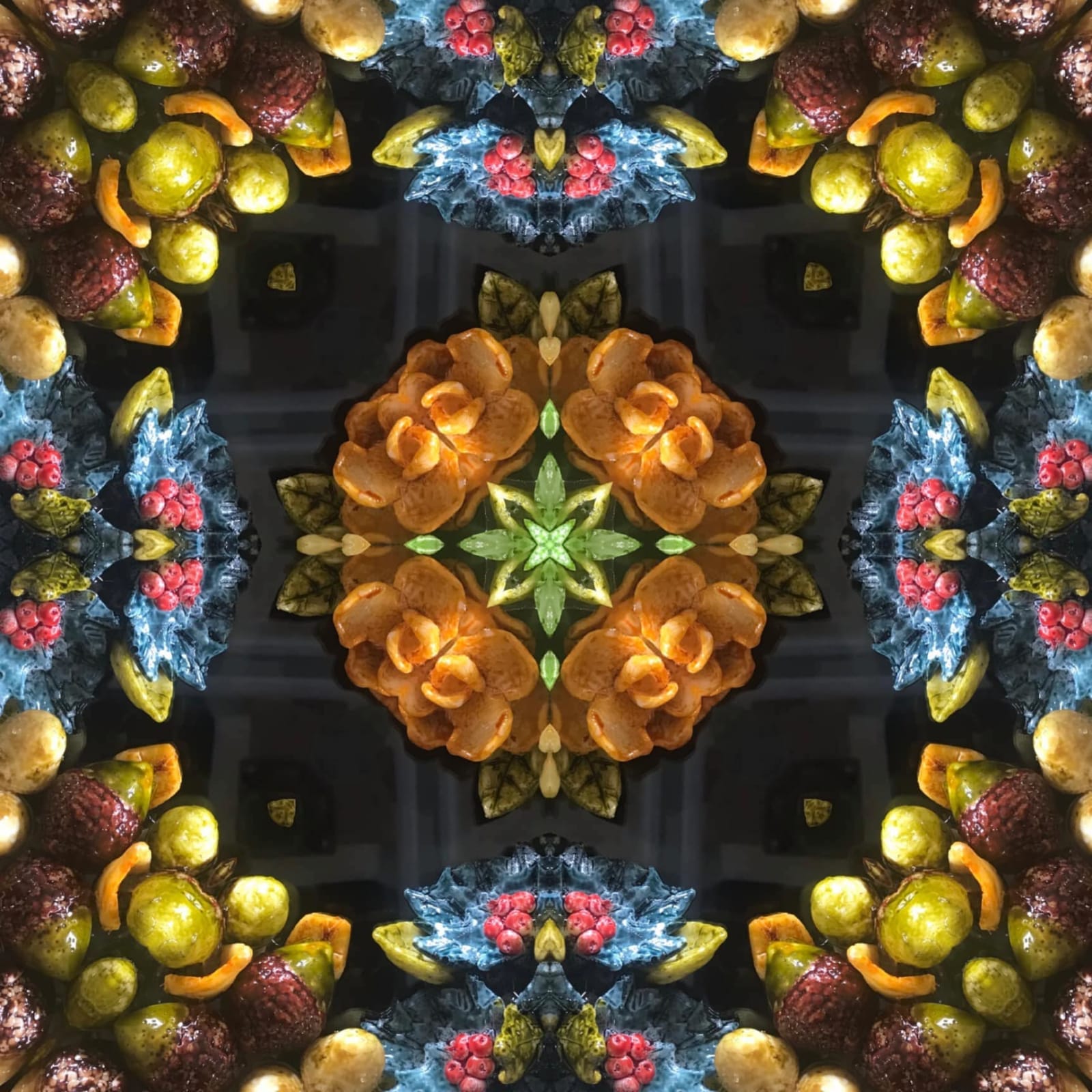 Tim Tate, Lenticular X