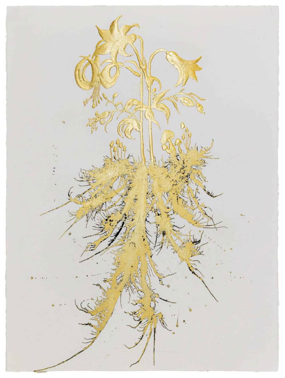 Jill Hotchkiss, Stargazer, unframed