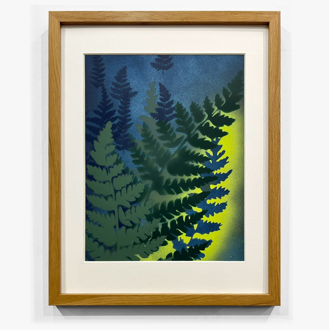 Steven L. Anderson, Pteridomania #3