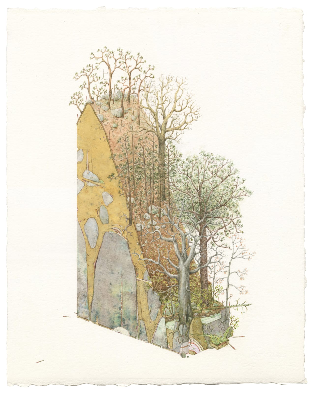 Bryce Lafferty, Vernalis (Wilderness Area)