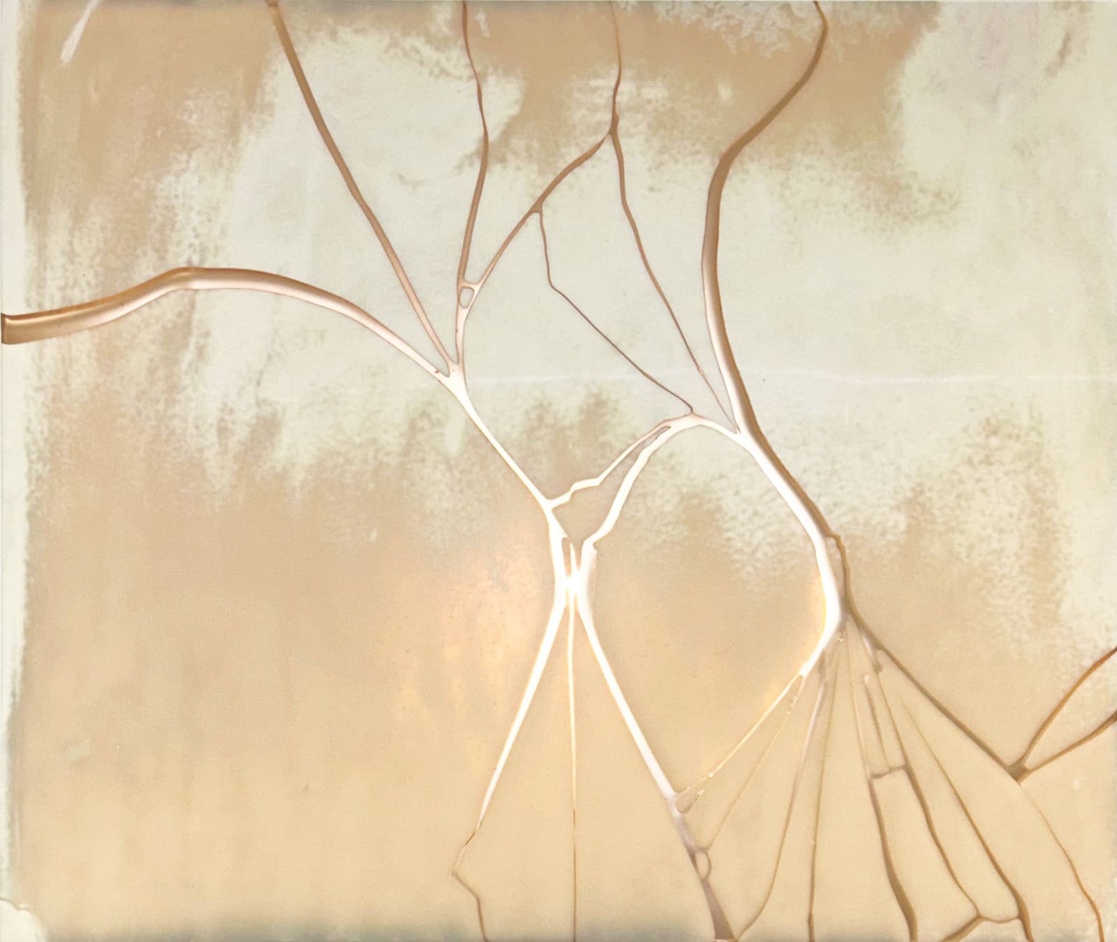 Matthew Day Perez, Untitled