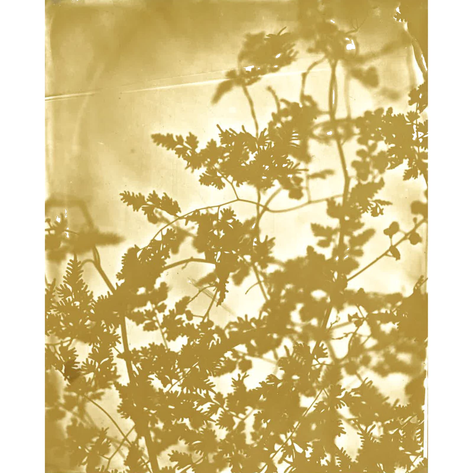 Heather F. Wetzel, Untitled No. 3, Sepia - Left