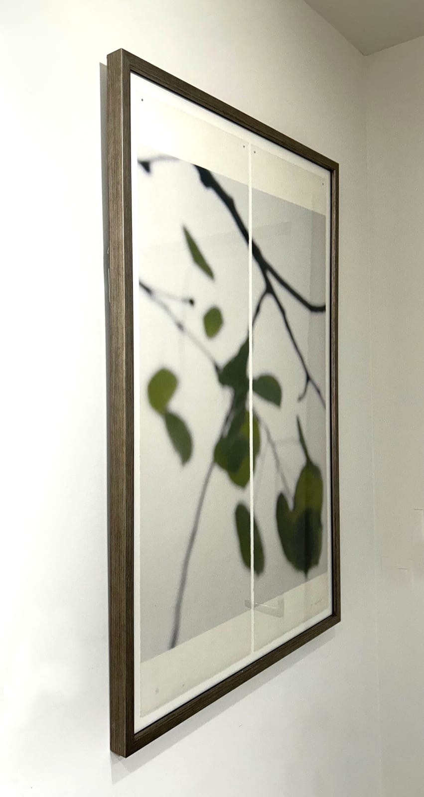 Jeri Eisenberg, Quaking Ash No. 2