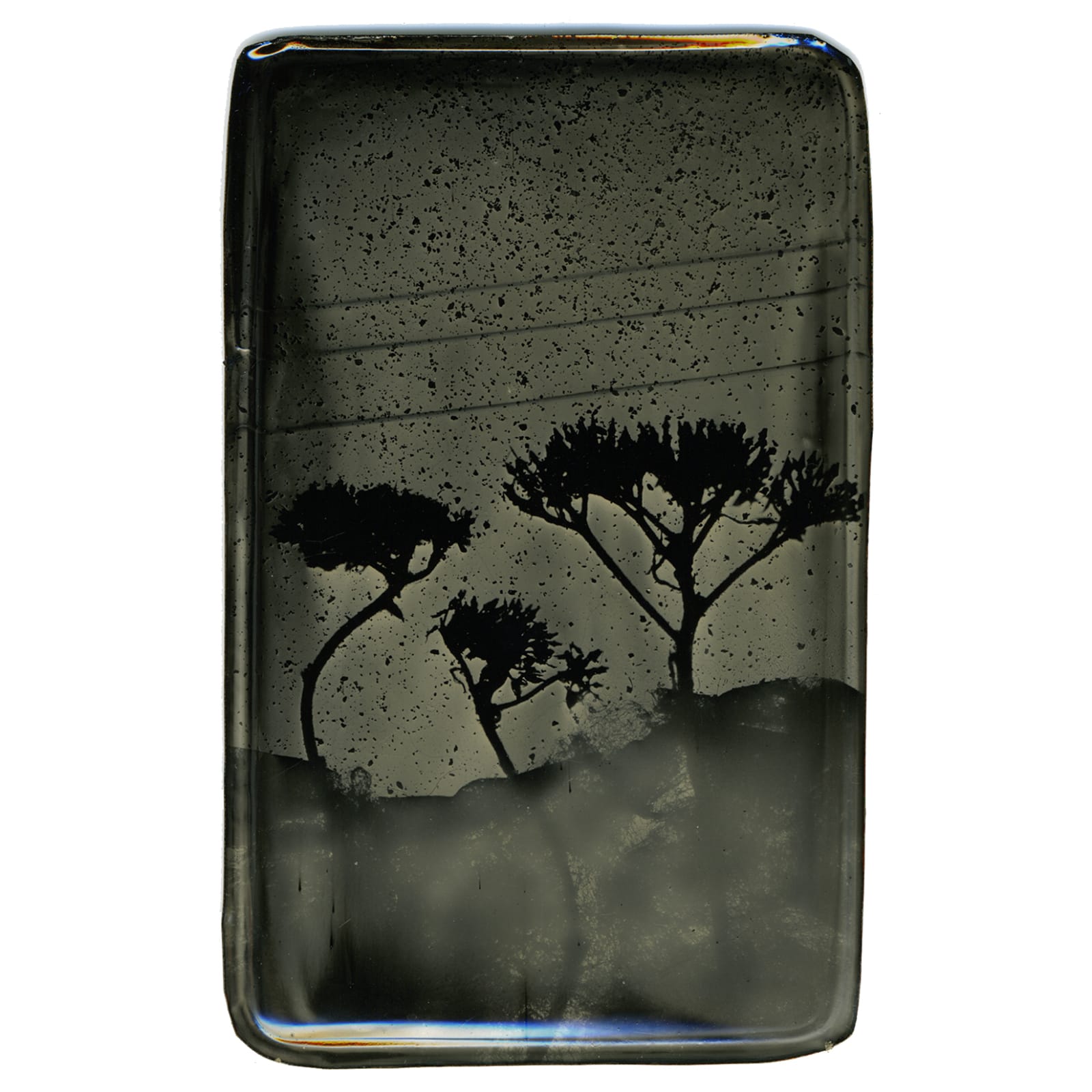 Heather F. Wetzel, Salvage: Constructed Landscape No.48